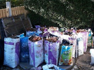 300x225.AL.collection