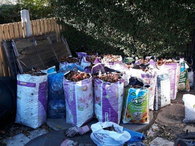 640x480.AL.collection.a